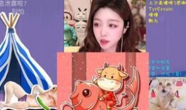 小瓜陆的视频,揭秘视频中的精彩瞬间